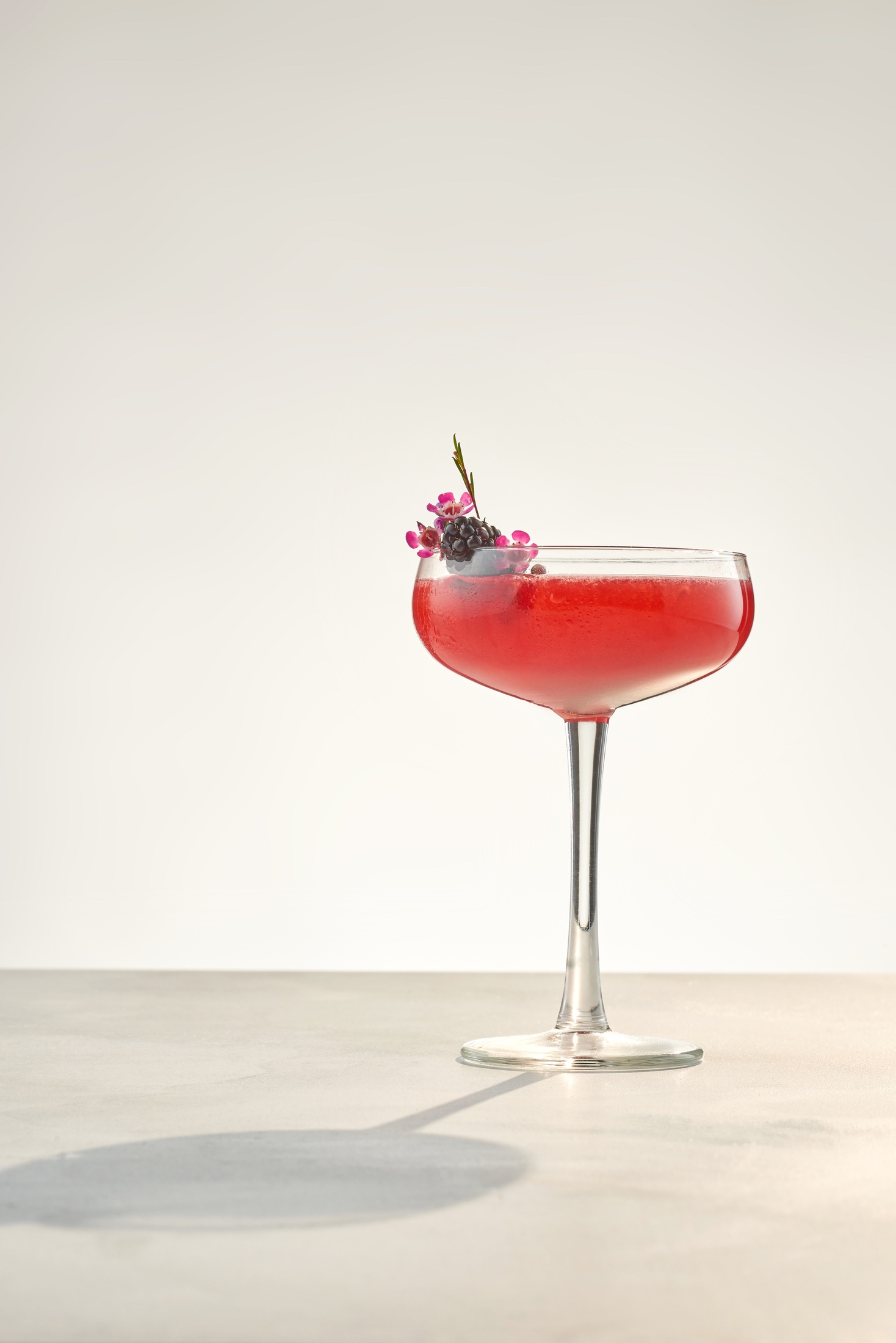 bartender_magazine_spring_feature_berry_coupe_cocktail_commercial_beverage_photography